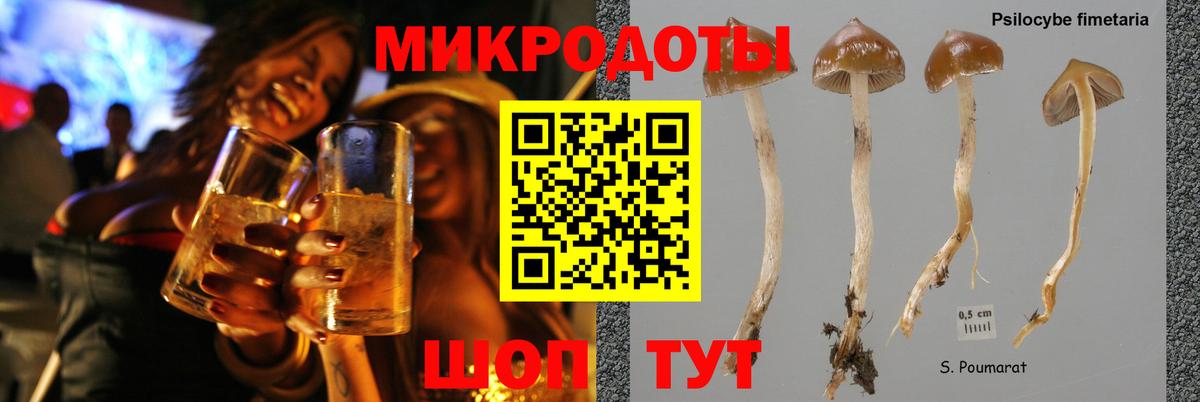 цены наркотик  Вход с VPN  Богданович  Псилоцибиновые грибы мицелий  Галлюциногенные грибы Cubensis 
